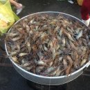 과일도시 이미지