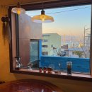 부산영도구 청학동카페 반려견동반카페 할미방(24.3.10)
