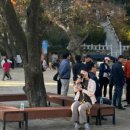 강화돌담캠핑&글램핑
