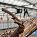 일비농장 이미지