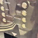 100번주유소 | 25.02.24 튀르키예 4일차