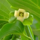 지지농장 이미지