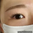 띵커벨라 뷰티 속눈썹