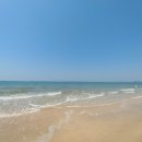 대천해수욕장 청해횟집 이미지