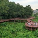 오색관광지 이미지