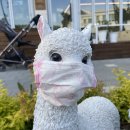 까까먹개 이미지