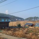 내1리경로당 이미지