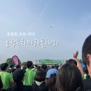 보성공설운동장 | 초록빛 메타세쿼이아 길을 달리는 로망 '보성녹차마라톤대회' 참가 꿀팁 및 코스 후기
