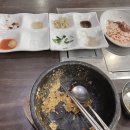 나무포 이미지