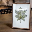 일상드로잉(초급) 이미지