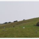 삼원목장 이미지