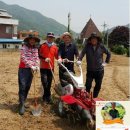다섯손가락교육 네이버블로그