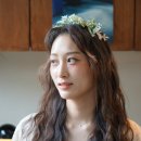 킴스헤어라인 이미지