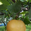 현성한우 이미지