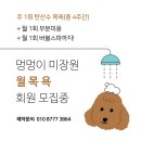 멍멍이 미장원 이미지