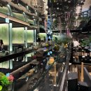 핏플레이스(Fit place) | 서울역 맛집 일상정원 샤브샤브 메뉴추천 청첩장모임 후기 분위기좋은곳