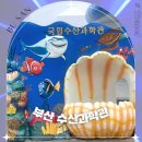 기장 여행 국립수산과학원 수산과학관 아쿠아리움 부산 아이와 함께 비올때 가볼만한곳