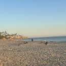 Laguna beach, Los Angeles California 이미지