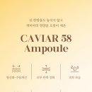 스킨엔젤라 이미지