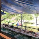 이집이좋겠네 이미지