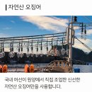 붕붕카과일