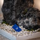 새오름피부과의원 이미지