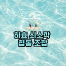 하효쇠소깍협동조합