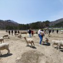 정현목장 이미지