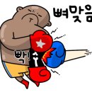 WS복싱클럽(상암점) 이미지