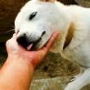 화성목장 이미지
