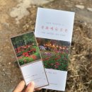 조각공원 | [ 충남 보령 개화예술공원 ] 보령 가볼만한곳 추천｜조각공원 모산미술관 데이트 방문 후기