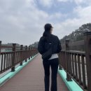 오토픽 | 경기도에서 가볼만한 곳 추천 (궁평항 해솔길 트레킹)