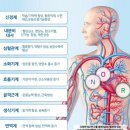 산화2 네이버블로그