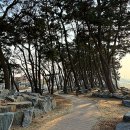 방아머리공원 화장실 이미지