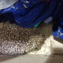 녹사평대로 이미지