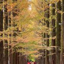 보보스캇 캠핑장 이미지