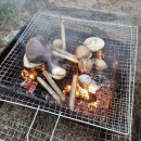 서운산 자연휴양림 자동차야영장 | 겨울에 가기좋은 가성비 캠핑장 BEST3