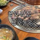 용호돈