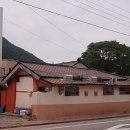 강릉대구머리찜 이미지