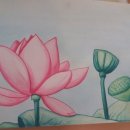 정밀화와 수채화 이미지