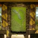 에코가든 이미지