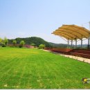점동체육공원 축구장 이미지