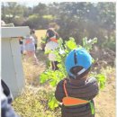 행복한도담어린이집 이미지