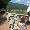쌍둥이 양봉장 네이버블로그