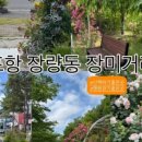 변사또소닭마을 이미지