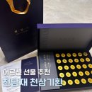 천삼 | [어르신 선물 추천] 천담재 천삼기환 | 내돈내산 후기, 어버이날 선물, 가정의 달 선물, 어르신 기력회복