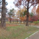 유수지근린공원 이미지