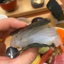 별다섯 | [서울/강서구/발산역] 마곡 카이센동 맛집 “일품” 찐찐찐추천 후기 (feat. 별 다섯 개 식당)