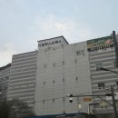 다일락스포렉스 이미지