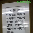 삼보수산 Daum카페